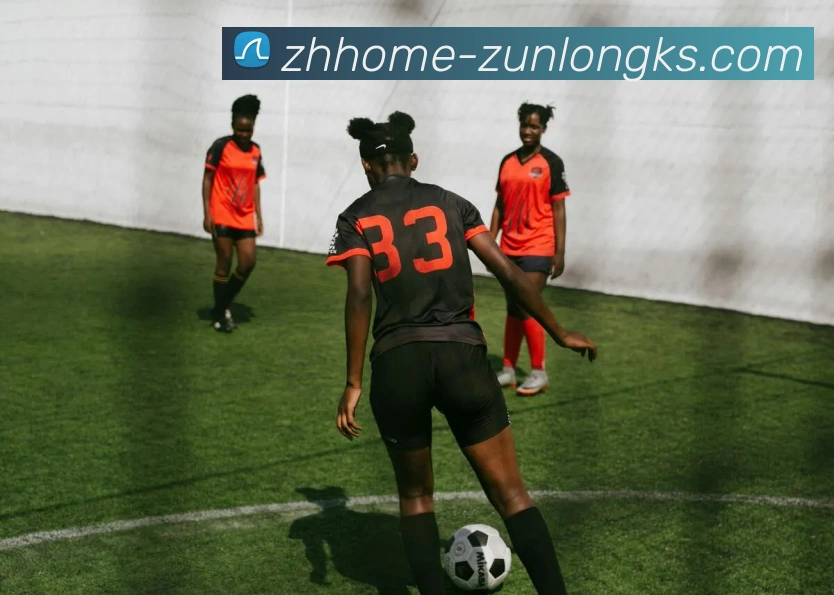 尊龙凯时官网APP 封面图